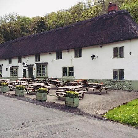 Hambro Arms Otel Milton Abbas Dış mekan fotoğraf