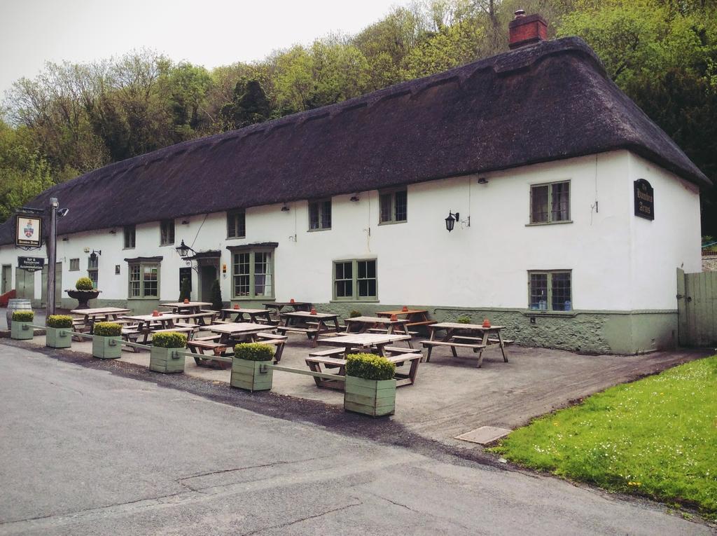 Hambro Arms Otel Milton Abbas Dış mekan fotoğraf