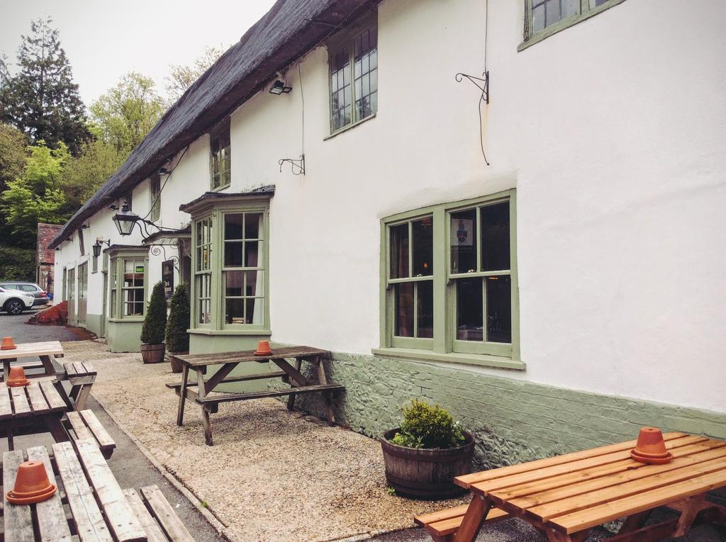 Hambro Arms Otel Milton Abbas Dış mekan fotoğraf