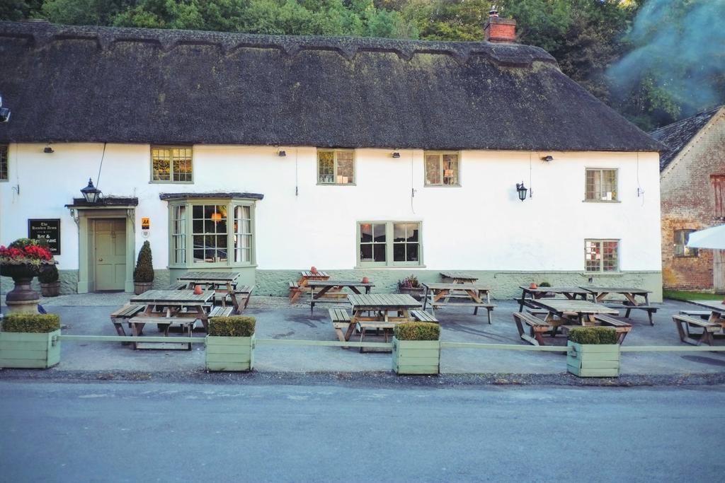Hambro Arms Otel Milton Abbas Dış mekan fotoğraf