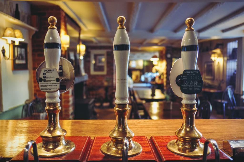 Hambro Arms Otel Milton Abbas Dış mekan fotoğraf
