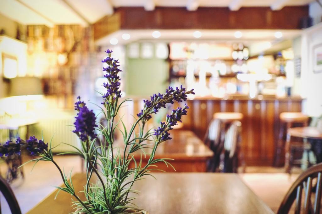 Hambro Arms Otel Milton Abbas Dış mekan fotoğraf