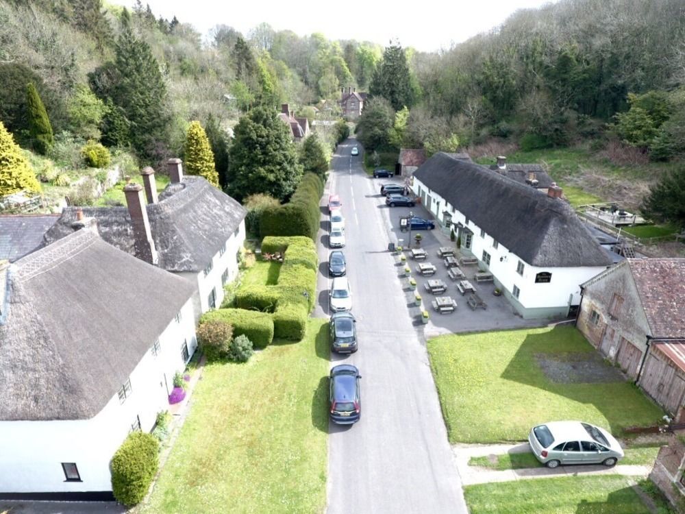 Hambro Arms Otel Milton Abbas Dış mekan fotoğraf